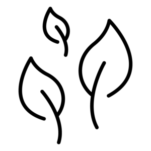 Herbaty liściaste